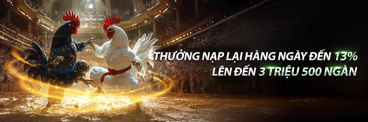 Các chương trình ưu đãi hấp dẫn tại nbet chính thức